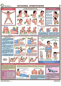 Информационный плакат Оказание первой помощи пострадавшим PS-OPMP-6 (лист 3) (420х600; Пленка самоклеящаяся ПВХ; )
